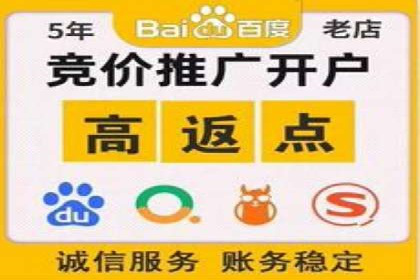 SEM广告投放的创意与执行：成功案例剖析